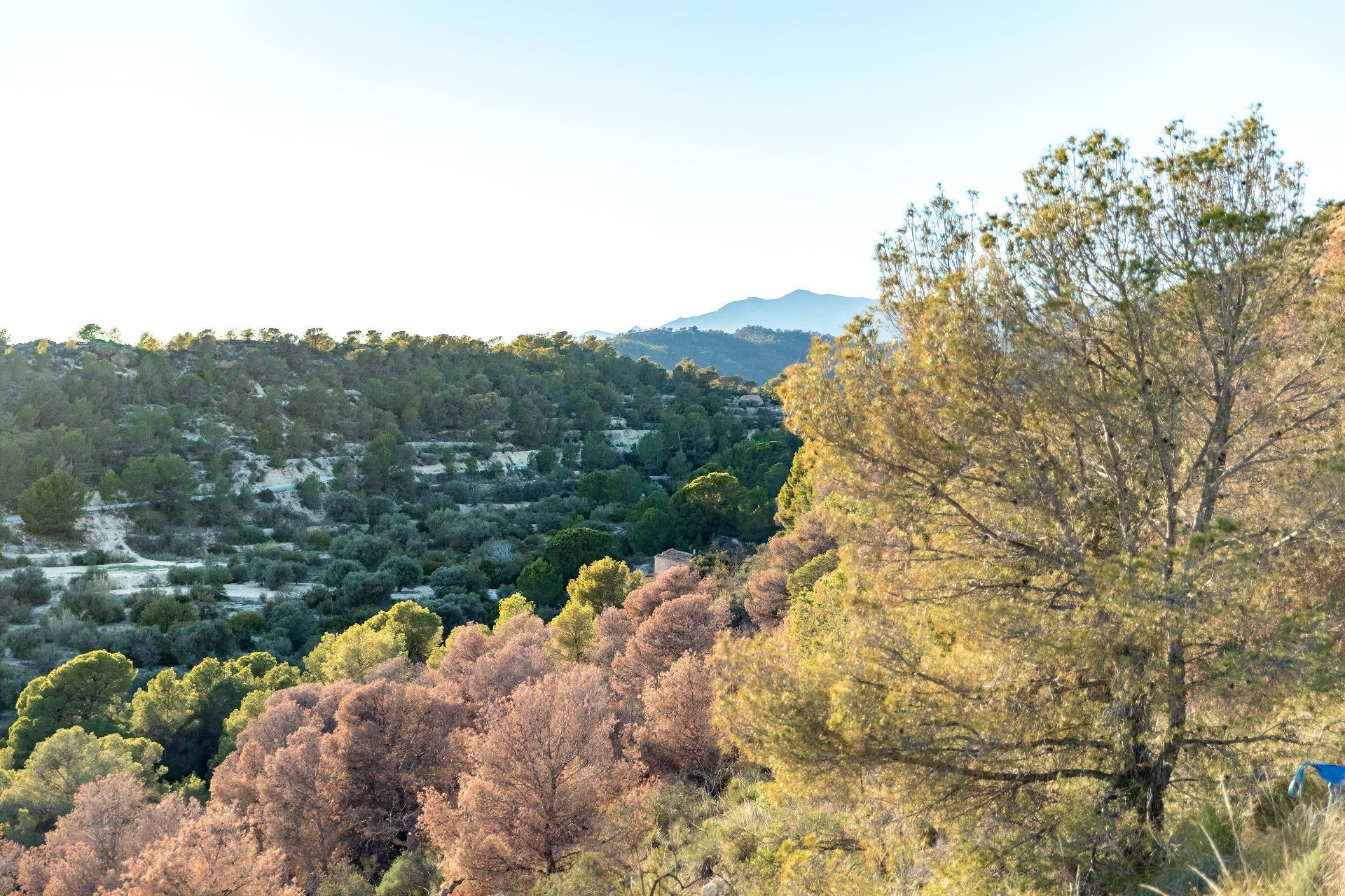 Alquiler a corto plazo - Apartment -
Finestrat - Balcón De Finestrat