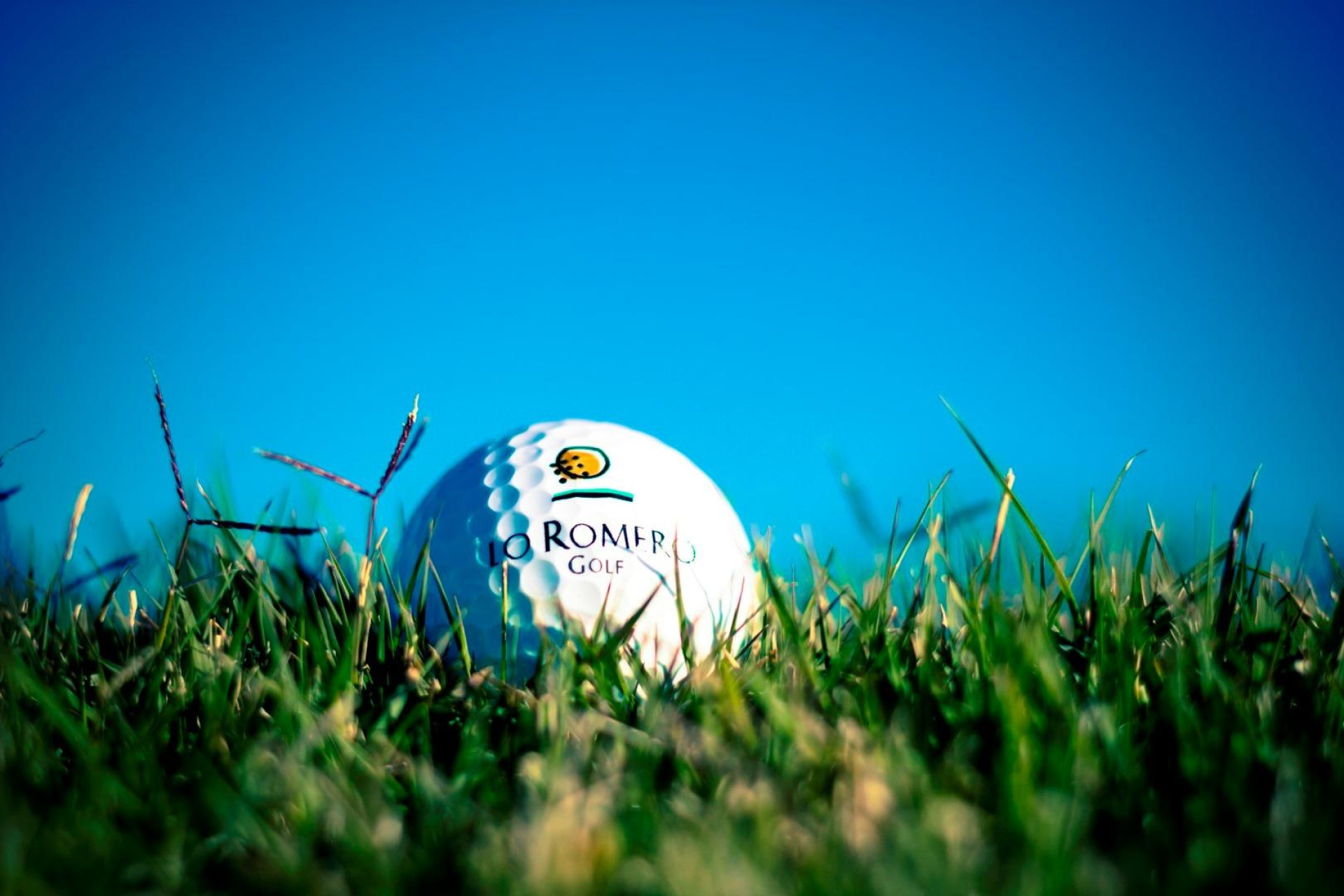 Alquiler a corto plazo - Villa -
Pilar de la Horadada - Lo Romero Golf