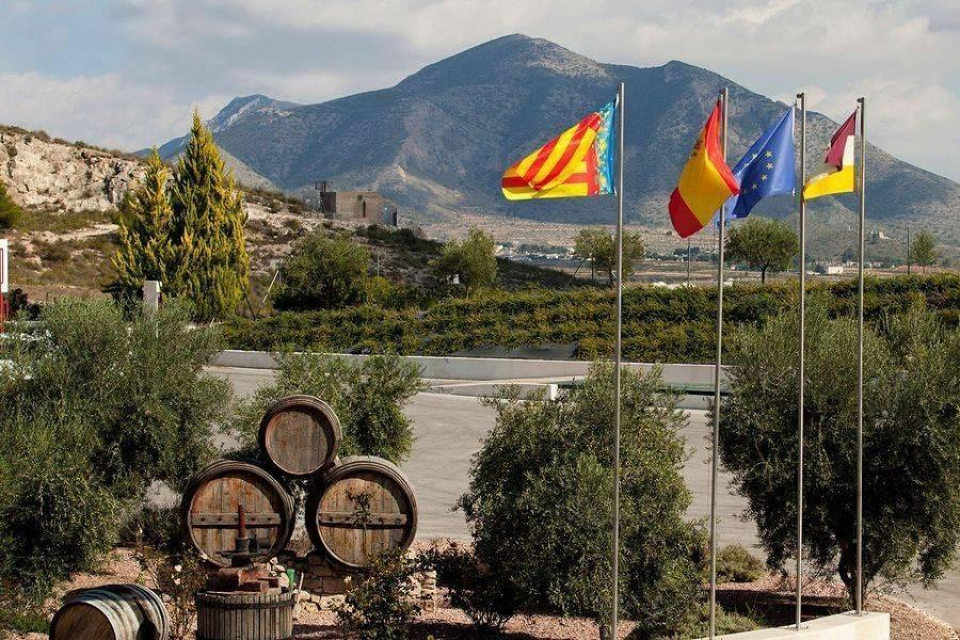 Alquiler a corto plazo - Villa -
Pinoso - Lel