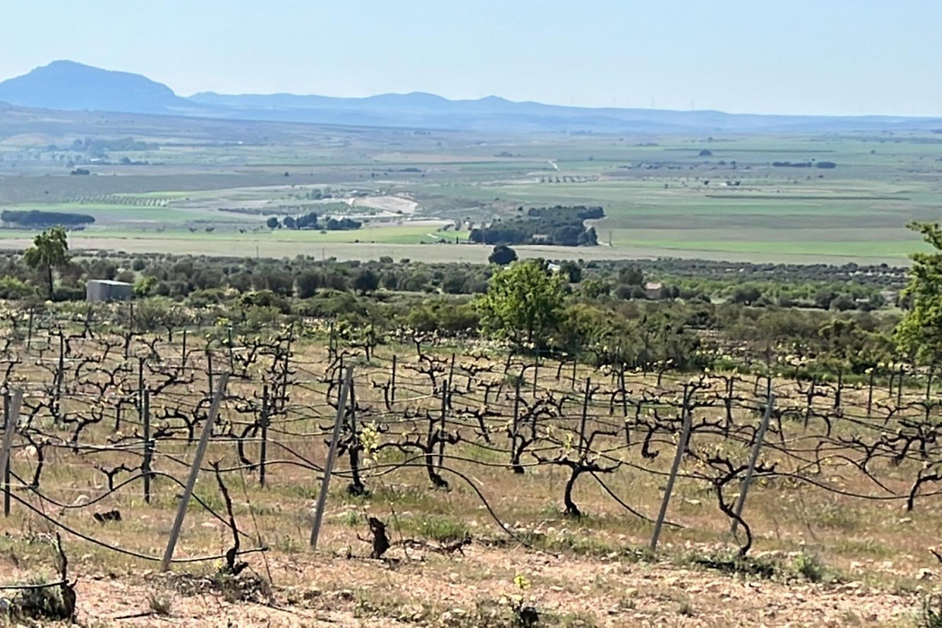 Alquiler a corto plazo - Villa -
Yecla