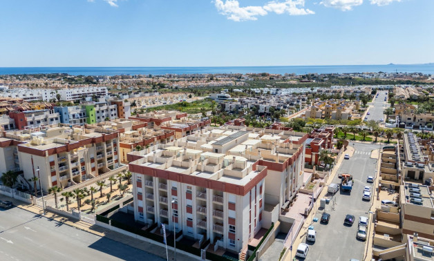 Apartment - Obra nueva - Orihuela Costa -
                Lomas de Cabo Roig