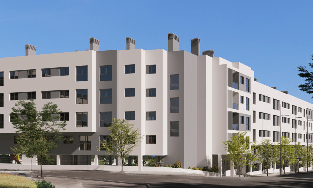 Áticos - Obra nueva - Alicante / Alacant -
                03005, Calle Deportista Pitu Perramon, 6