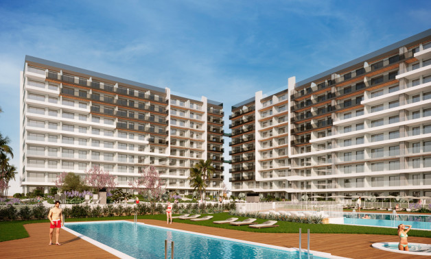 Flats - New Build - Torrevieja -
                Torrevieja