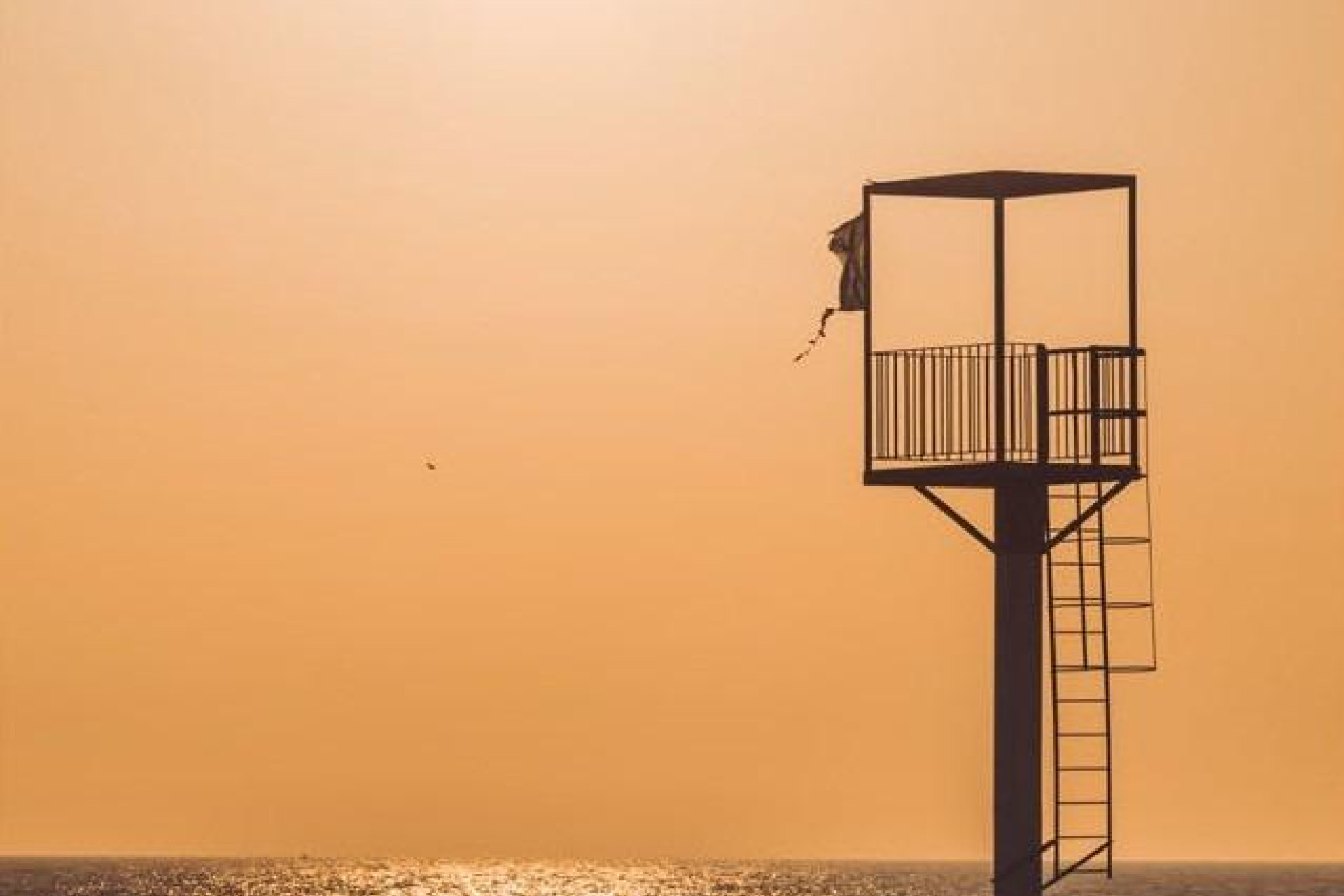 Краткосрочная аренда - Apartment -
Almerimar