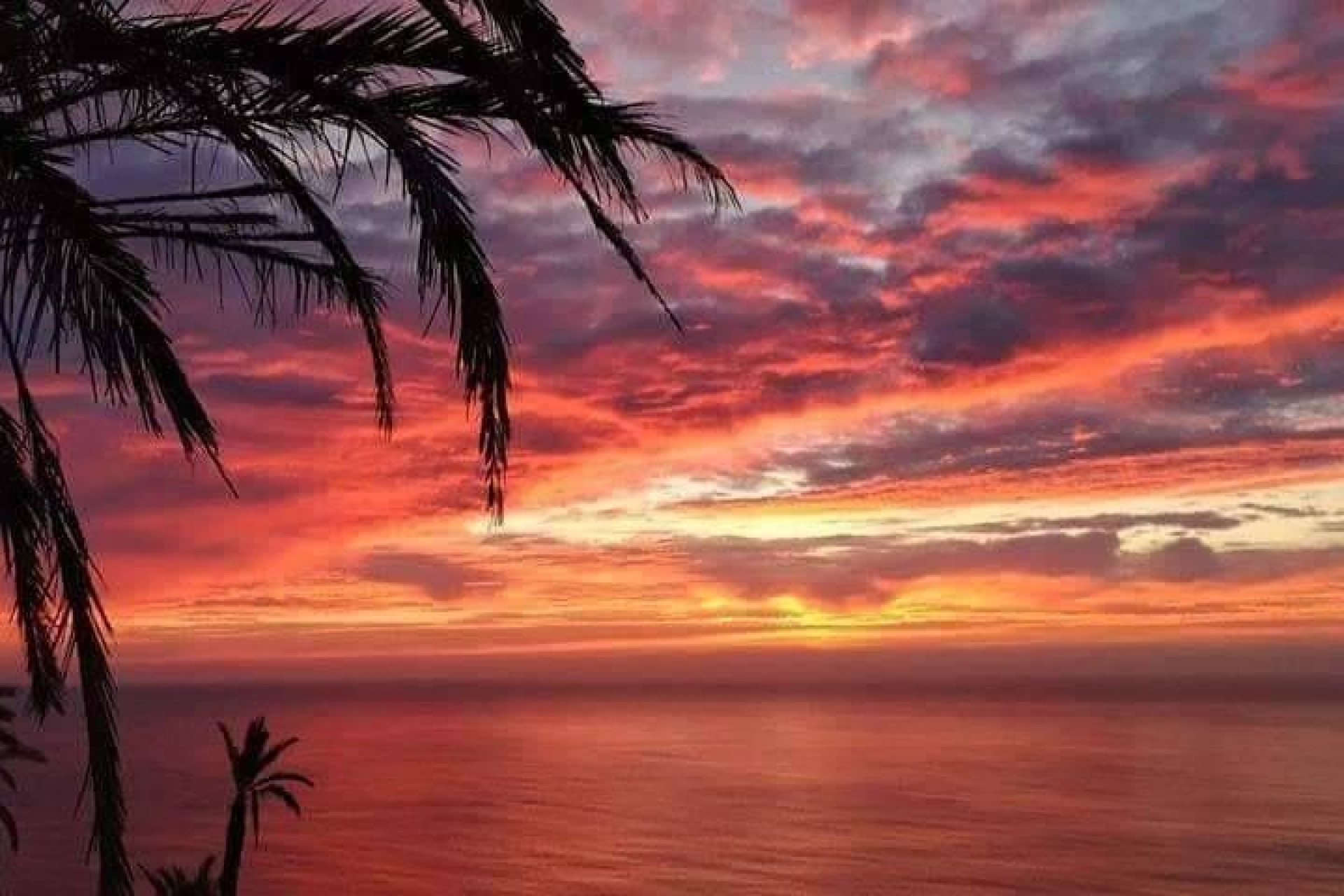 Краткосрочная аренда - Бунгало -
Torrevieja - Altos del Sol