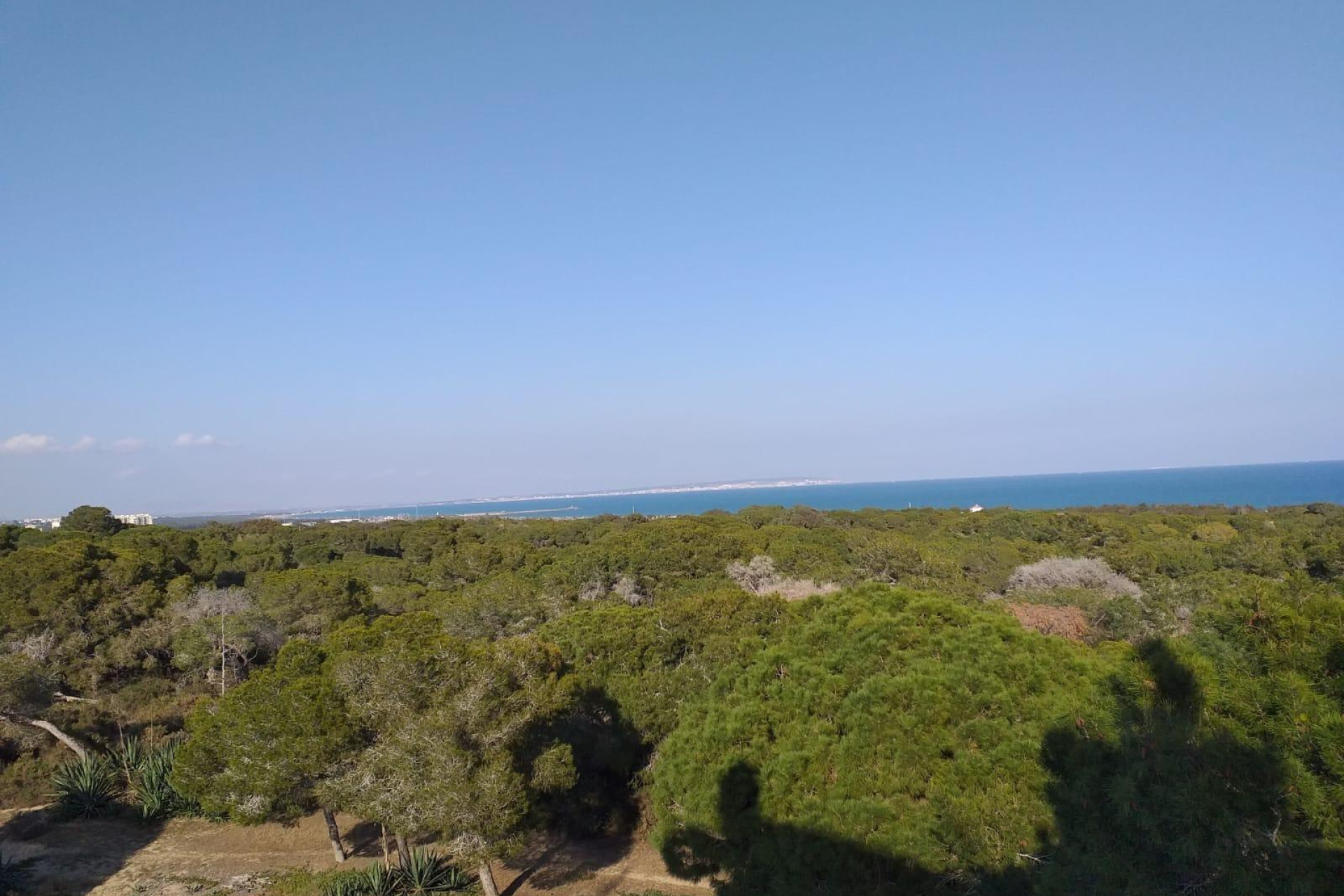 Краткосрочная аренда - Ground floor apartment -
Guardamar del Segura - Pueblo