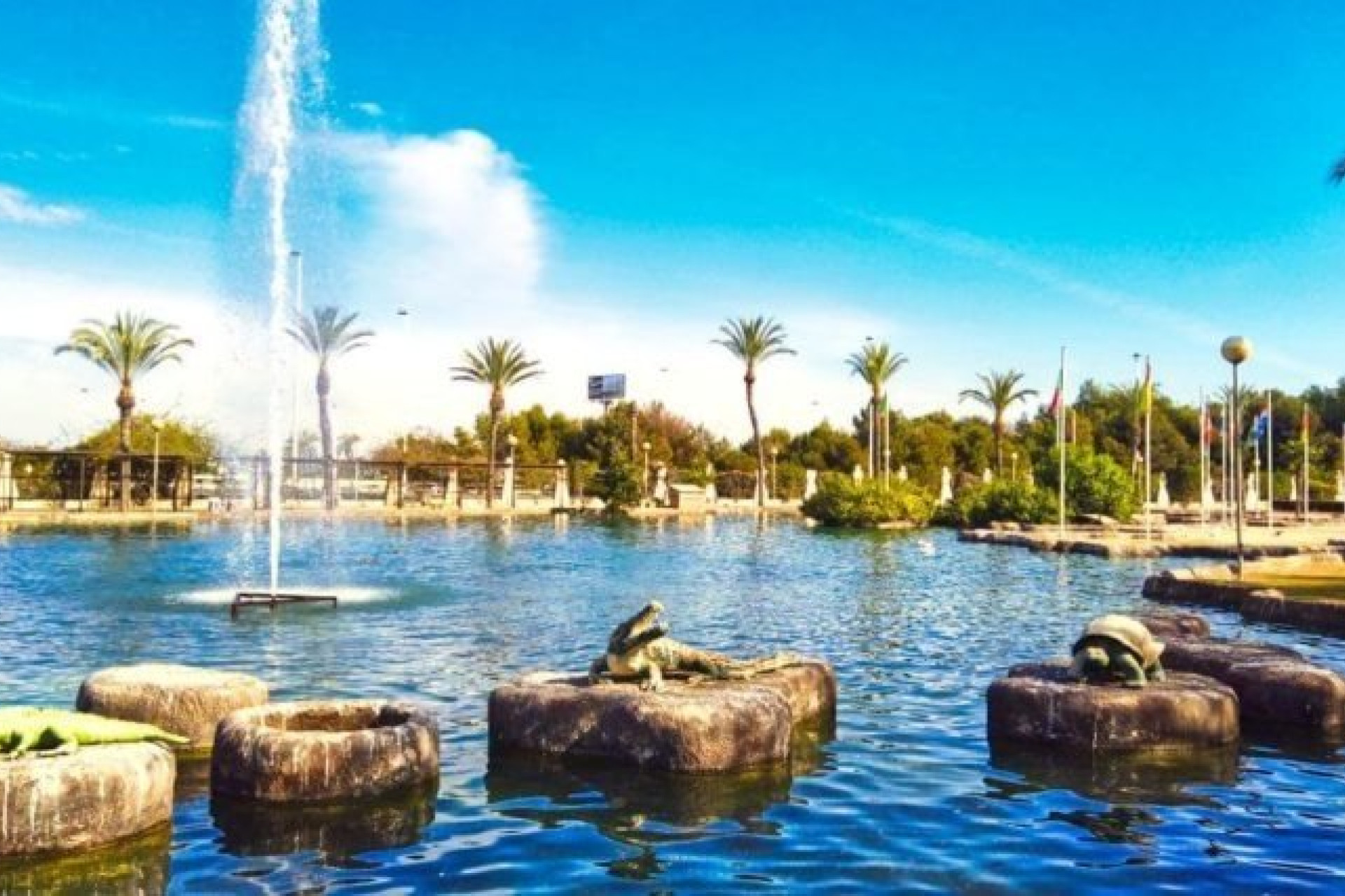 Краткосрочная аренда - Villa -
Torrevieja - Aguas Nuevas