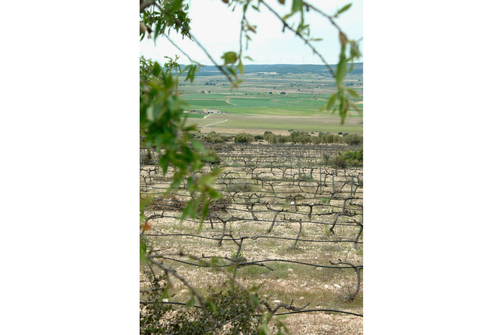 Краткосрочная аренда - Villa -
Yecla