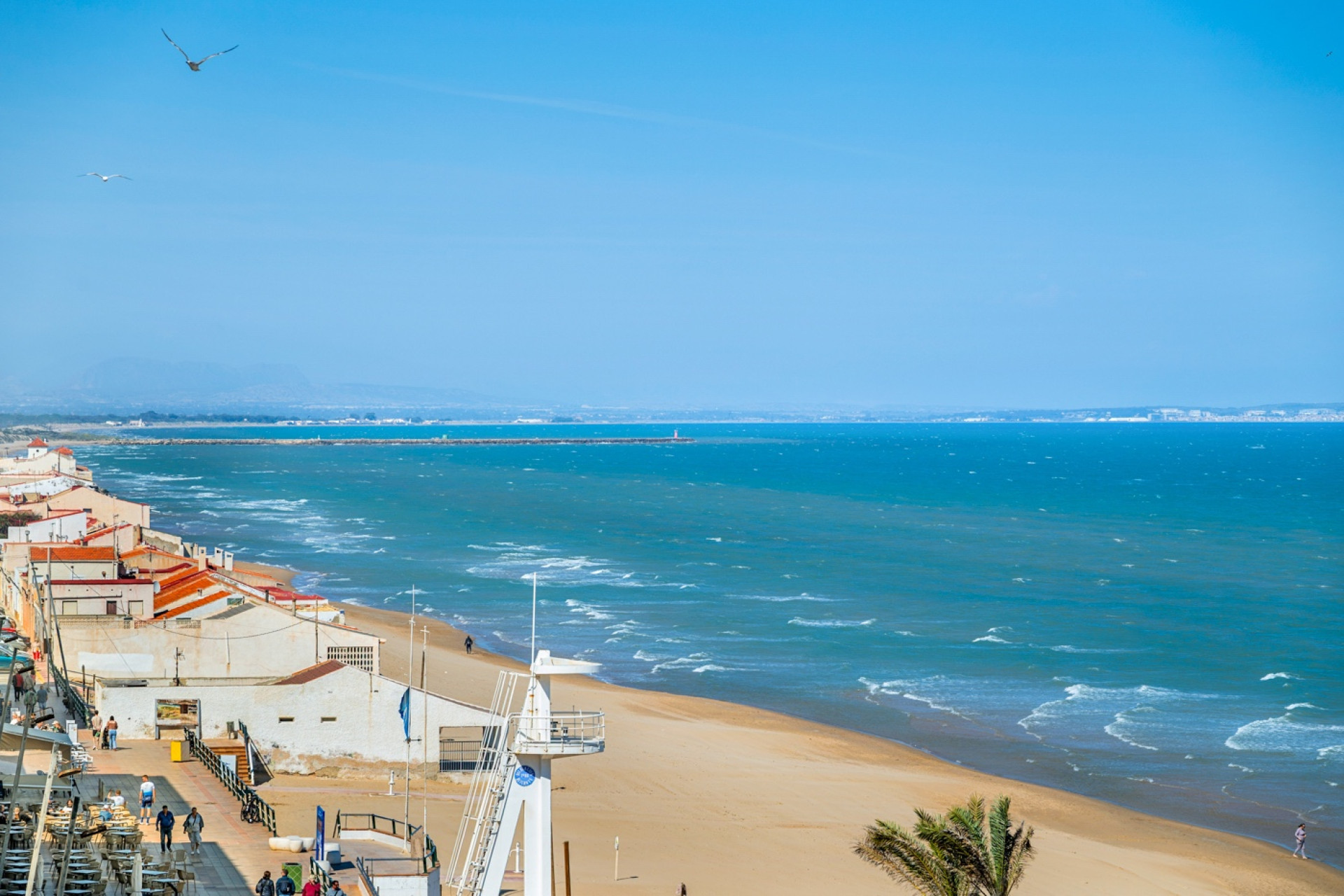 New Build - Apartment -
Guardamar del Segura