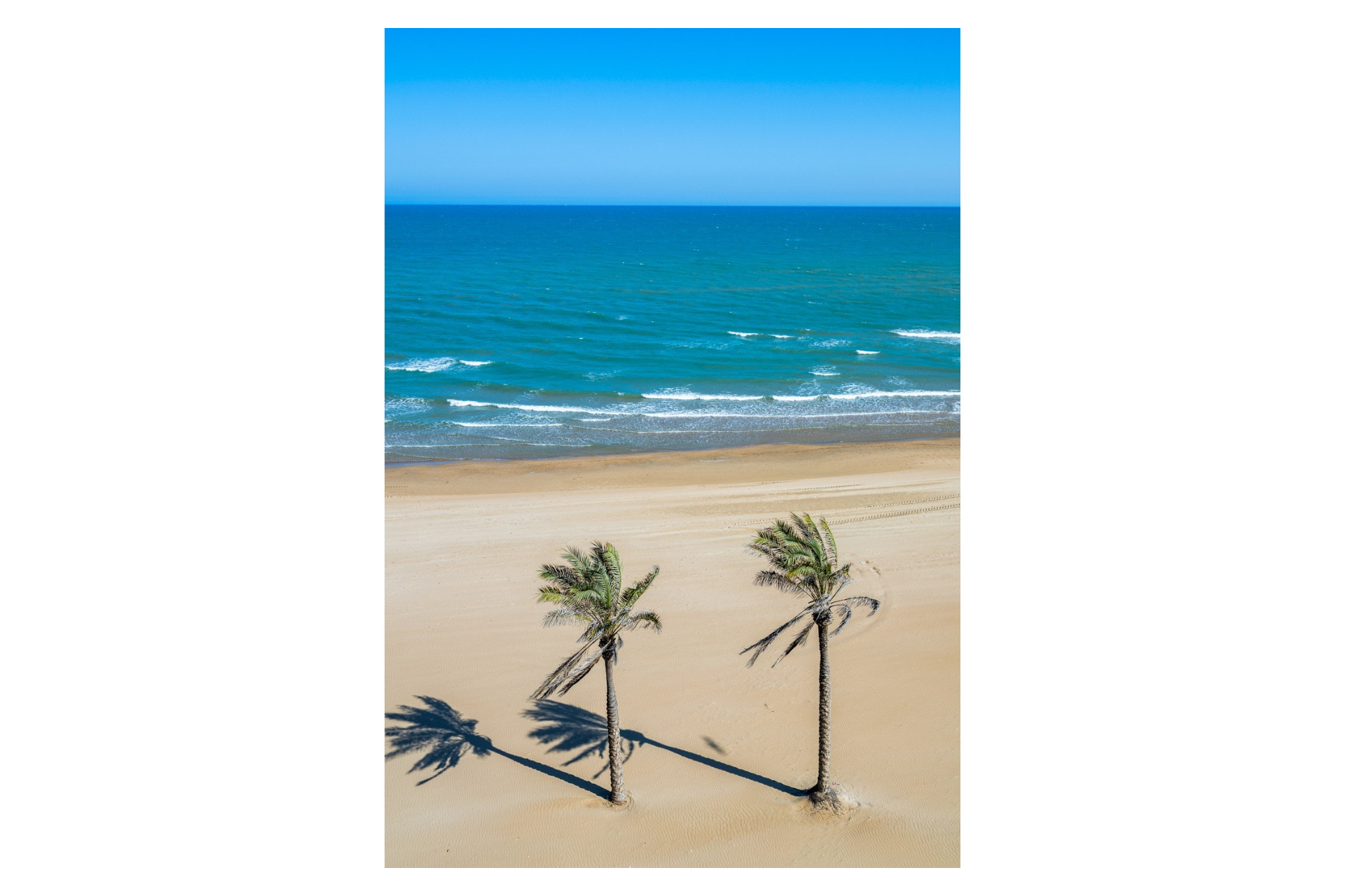 New Build - Apartment -
Guardamar del Segura