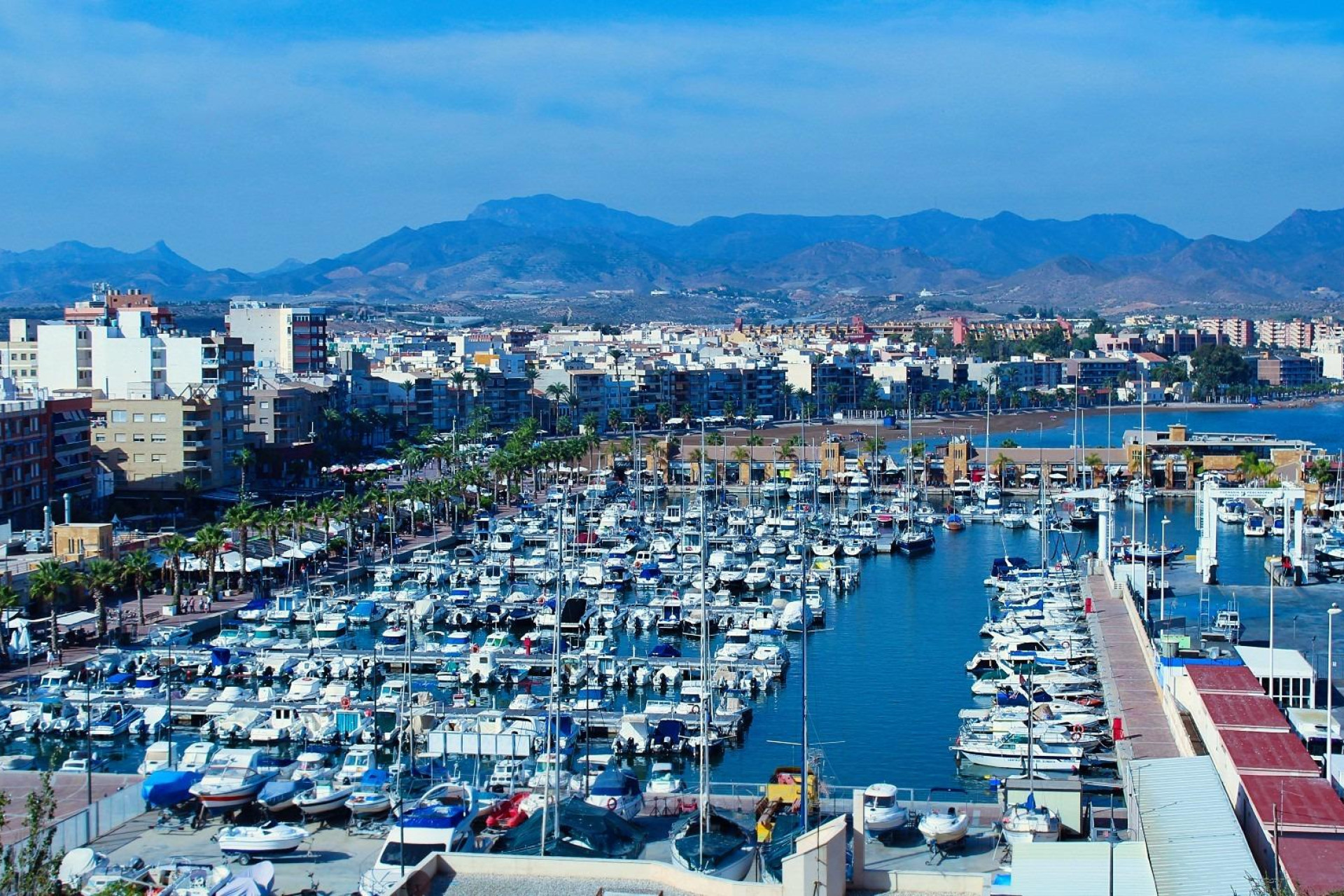 New Build - Bungalow -
Fuente Álamo - La Pinilla