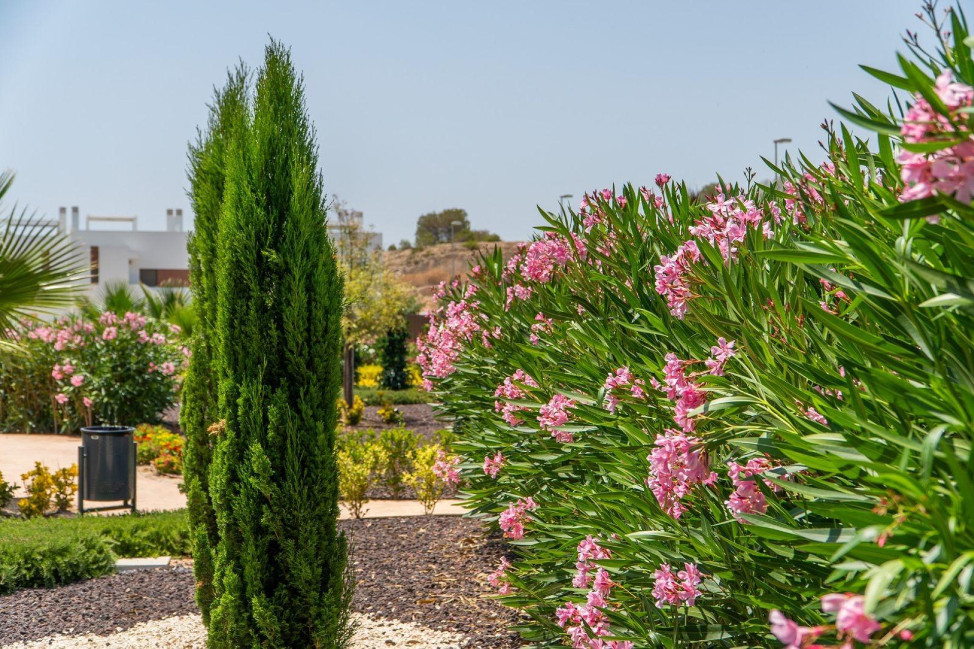 Новое здание - Town House -
Orihuela - Vistabella Golf