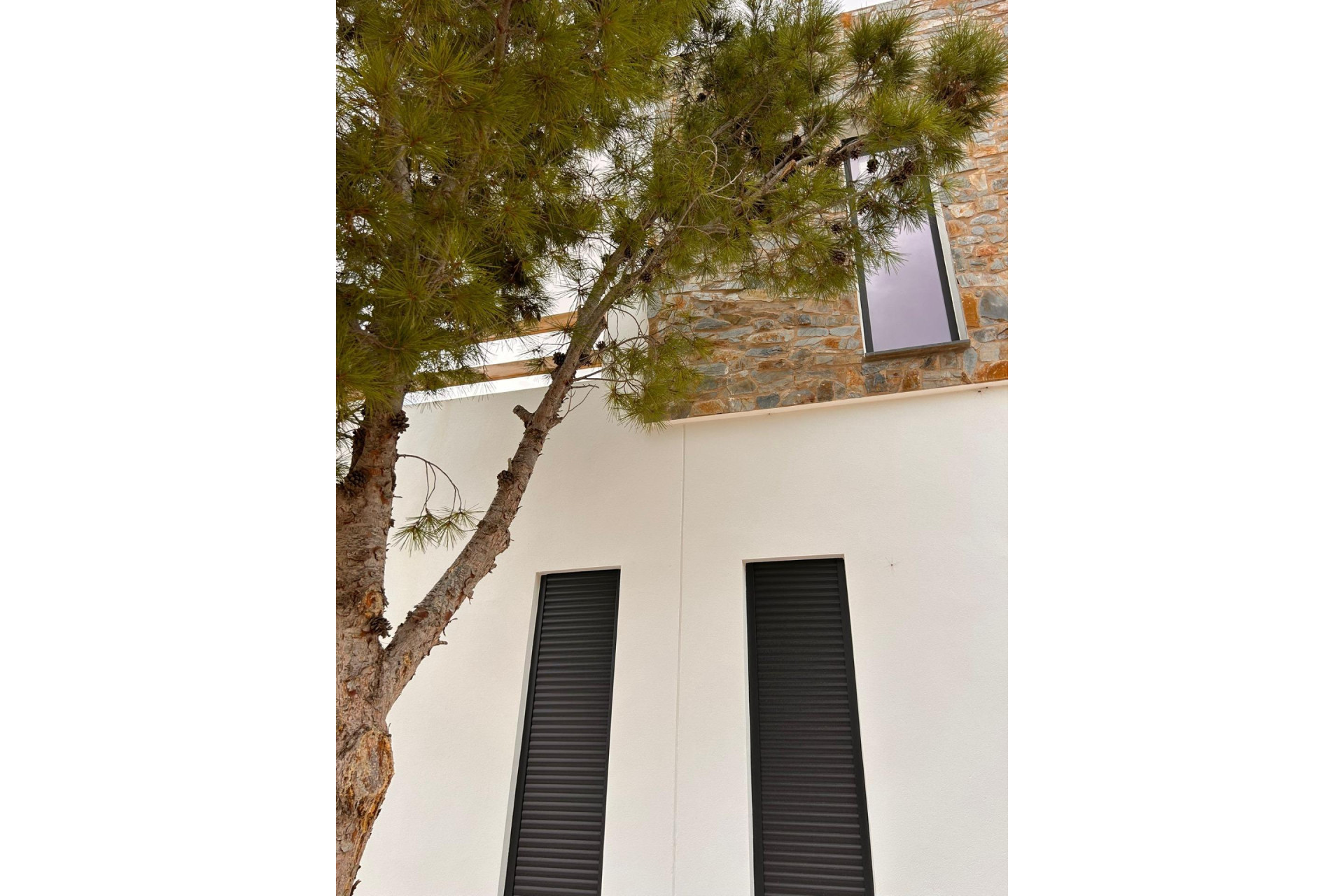 Новое здание - Villa -
Pinoso - Casas Pastor