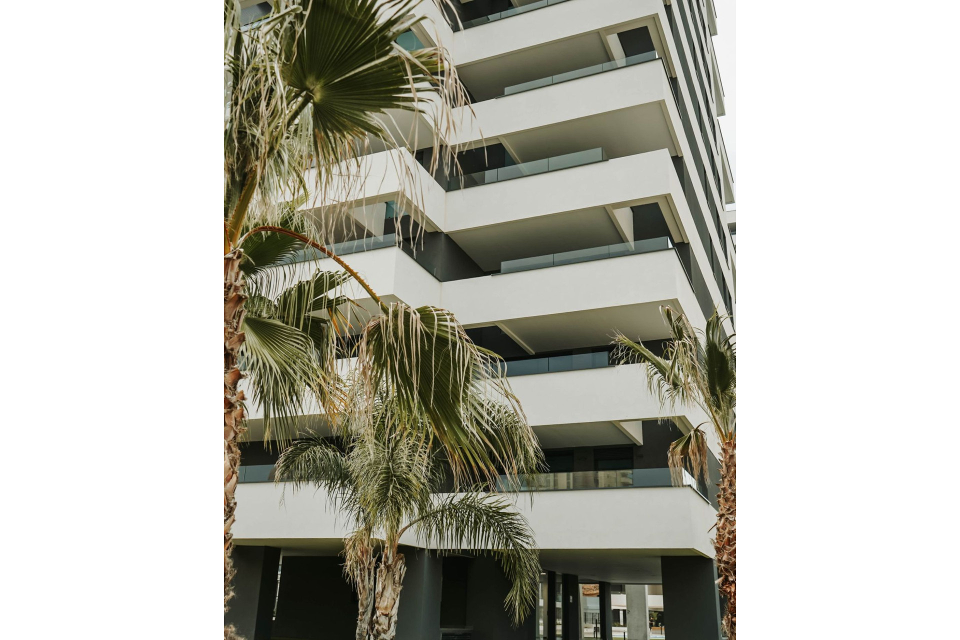 Obra nueva - Áticos -
Calpe