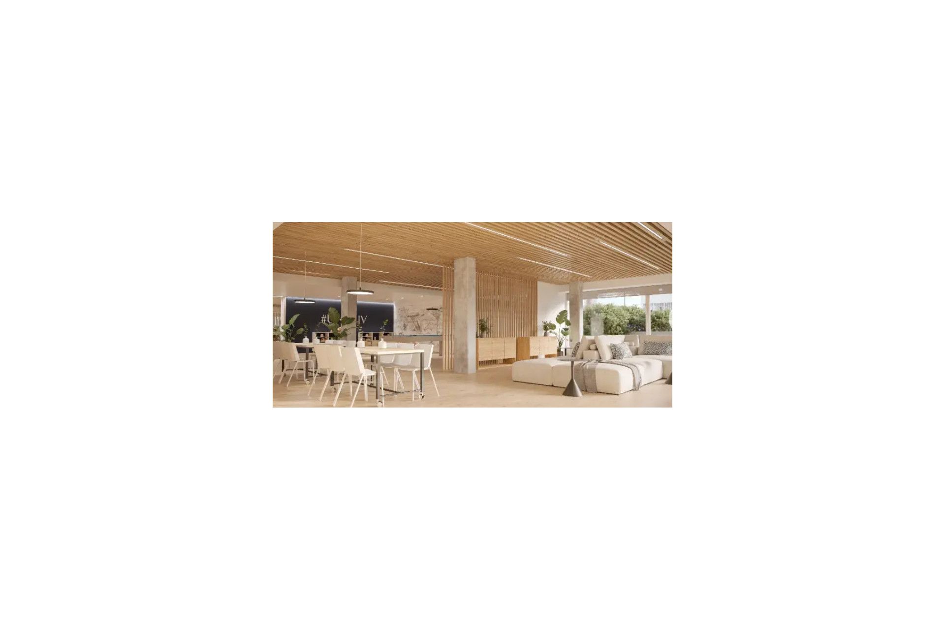 Obra nueva - Bajos -
Jávea/Xàbia - 03730
