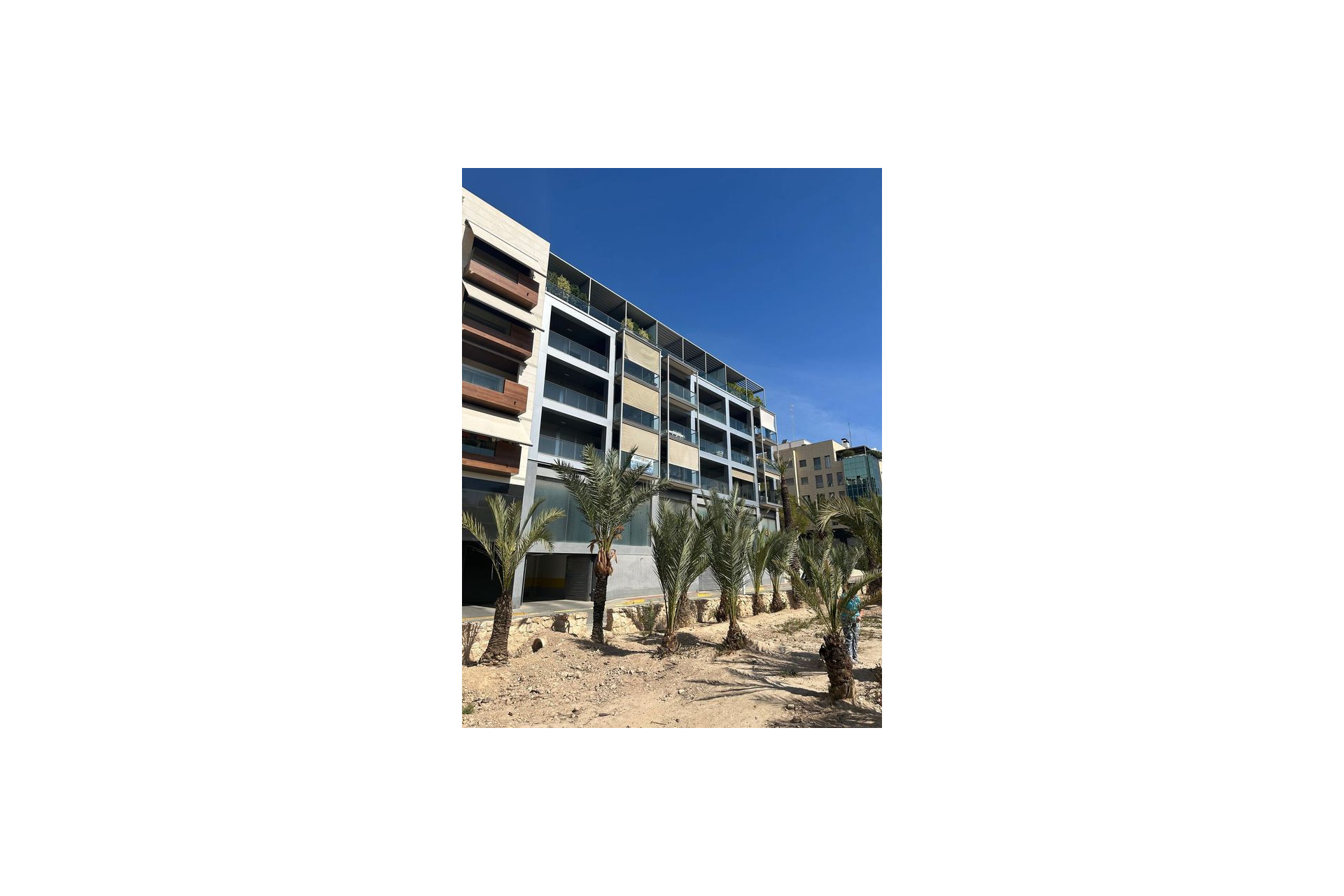 Obra nueva - Pisos -
Elche / Elx - 03201, Calle Santa Ana , 17