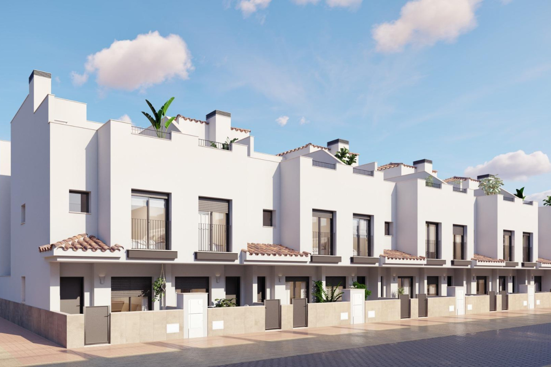 Obra nueva - Town House -
Torre Pacheco - Santa Rosalia pueblo