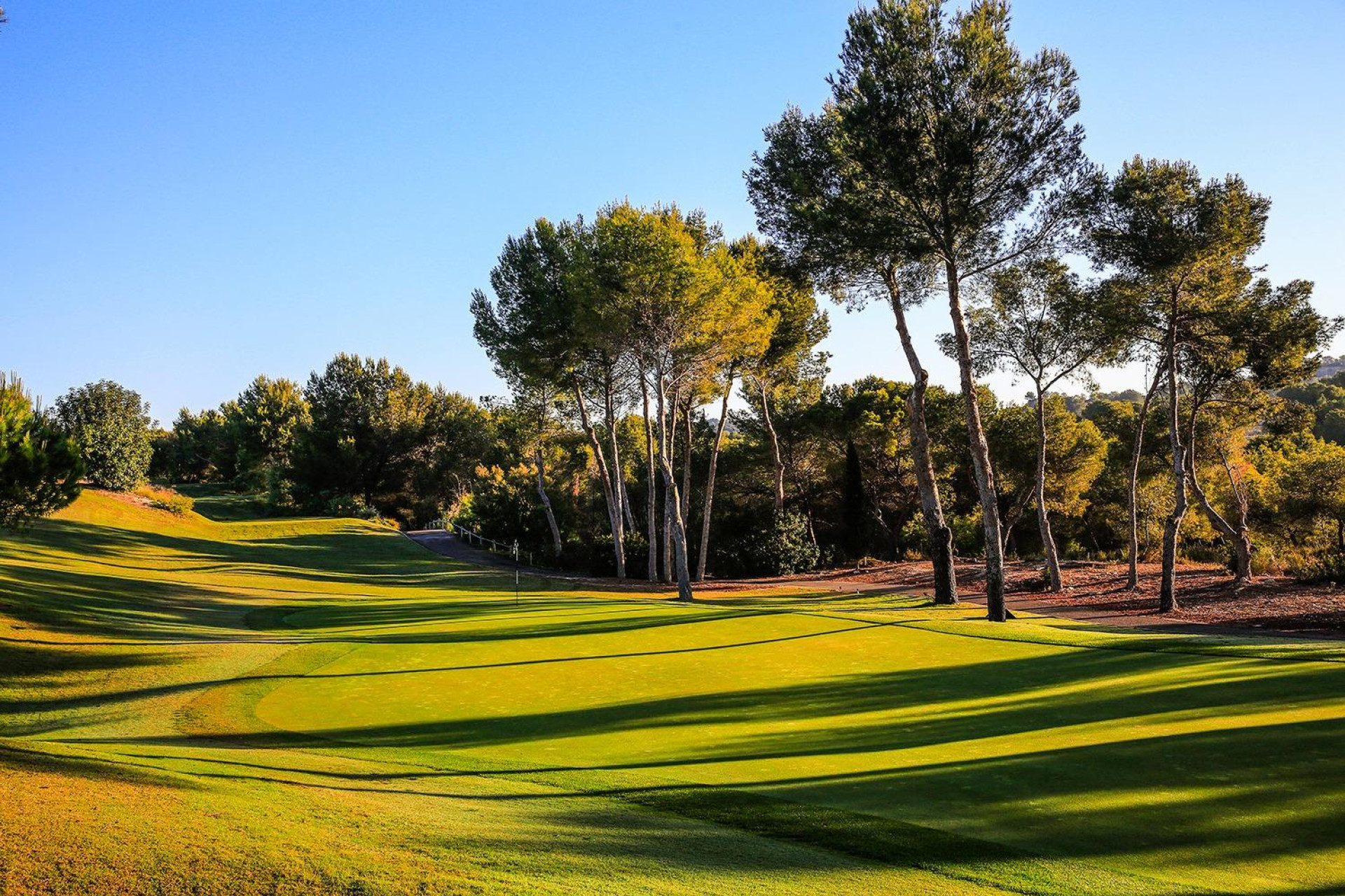 Obra nueva - Villa -
Orihuela - Las Colinas Golf