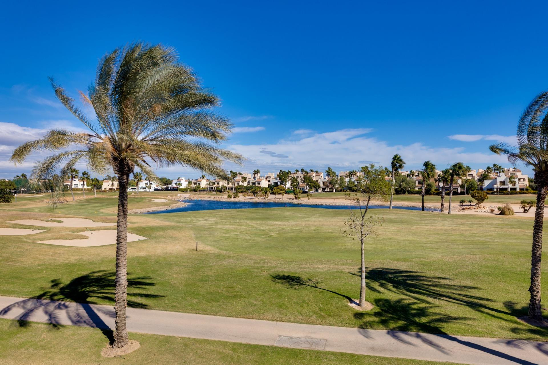 Obra nueva - Villa -
Pilar de la Horadada - Roda Golf