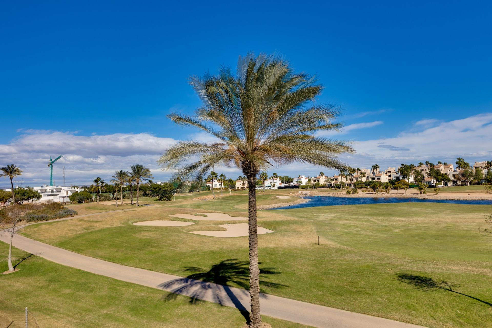 Obra nueva - Villa -
Pilar de la Horadada - Roda Golf