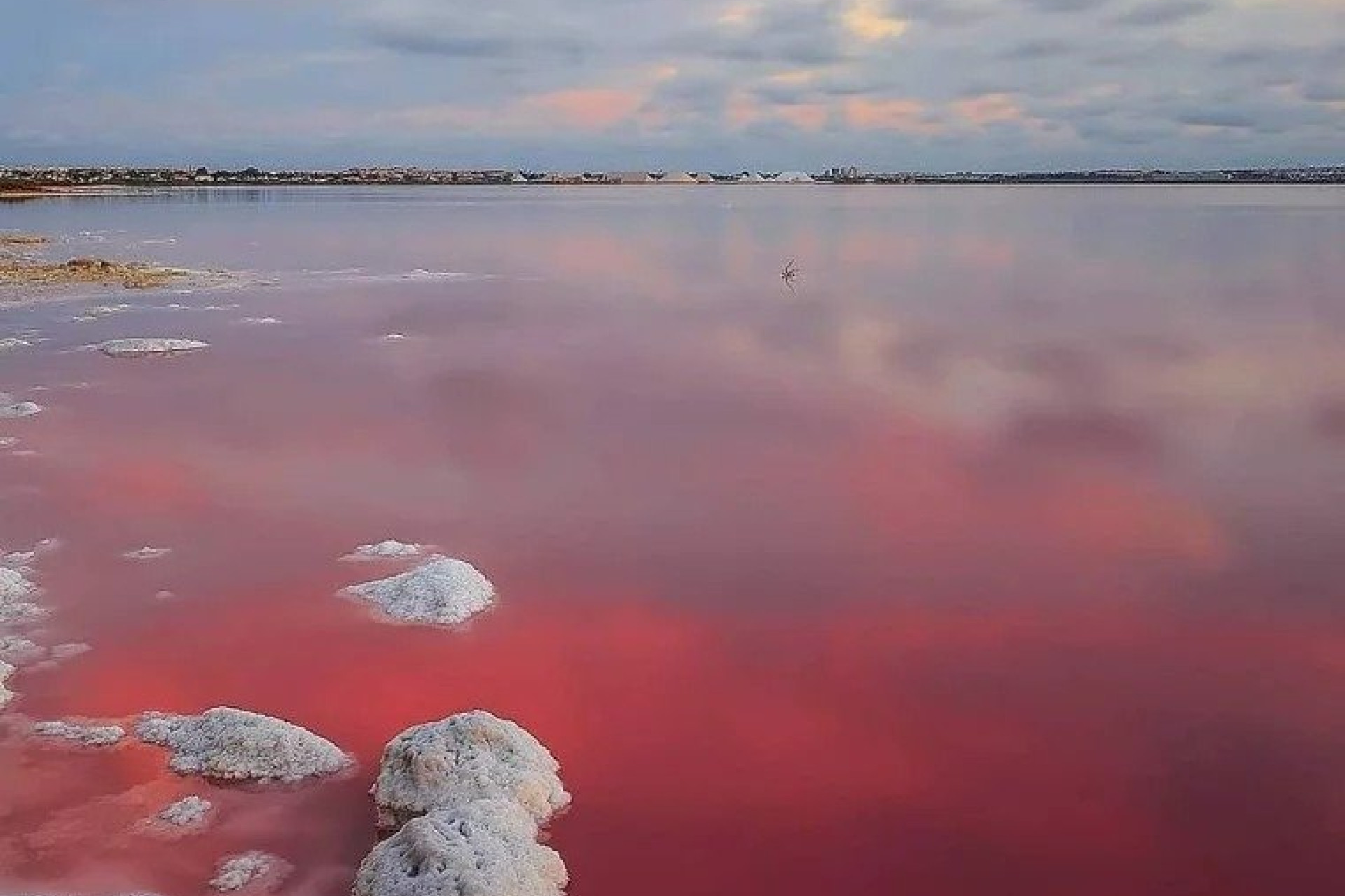 Obra nueva - Villa -
Torrevieja - Lago Jardín II