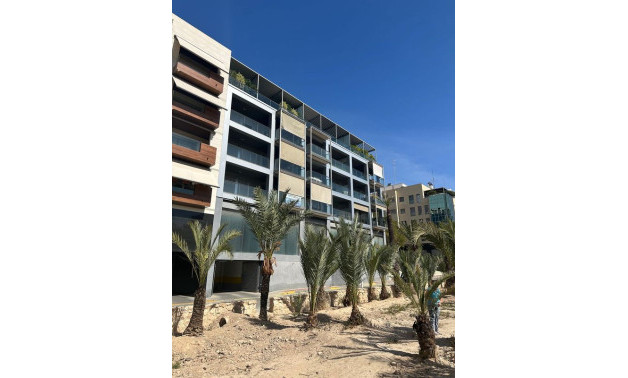 Pisos - New Build - Elche / Elx -
                03201, Calle Santa Ana , 17