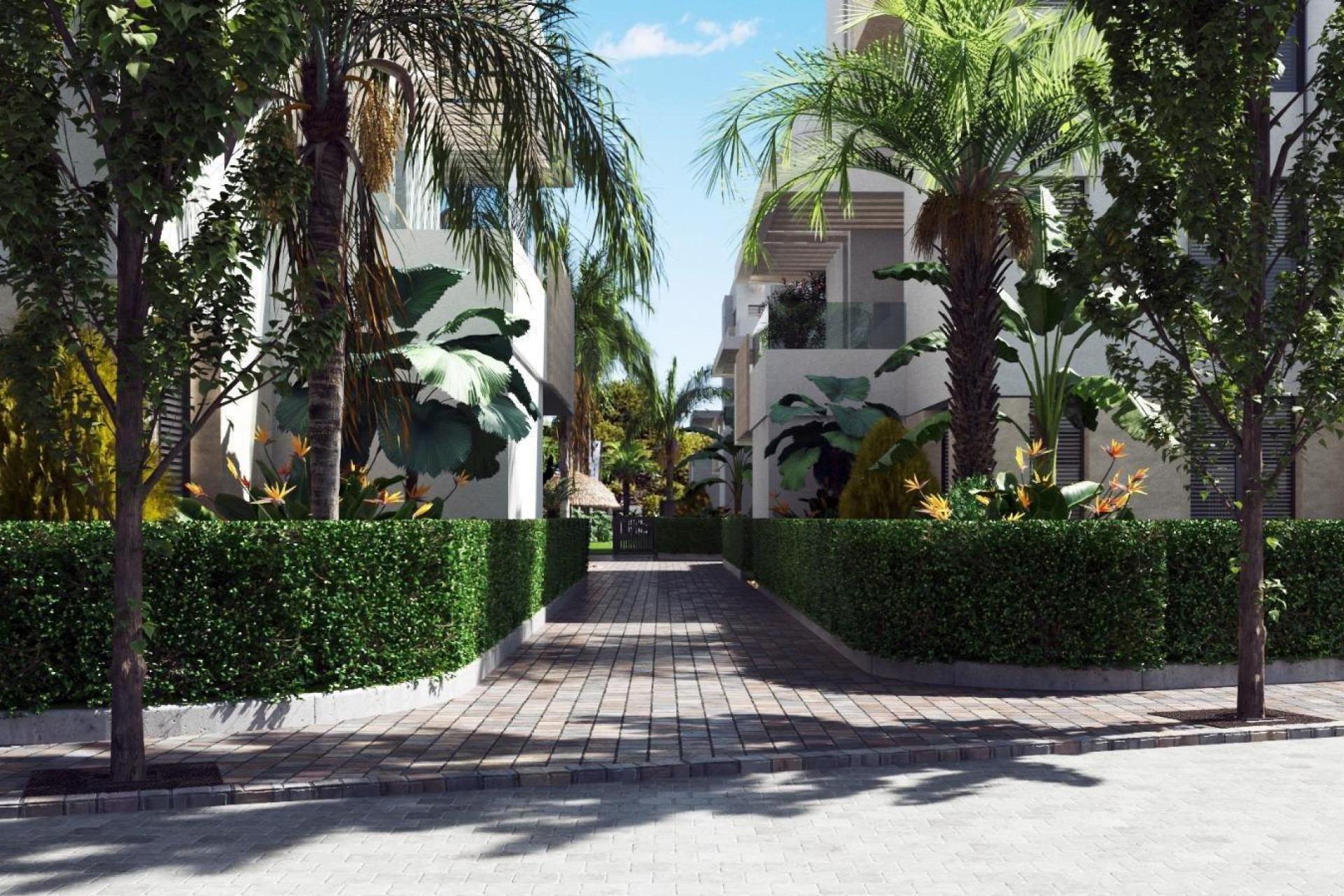 Short Term Rental - Apartment -
Torre Pacheco - Santa Rosalia Lake and Life Resort