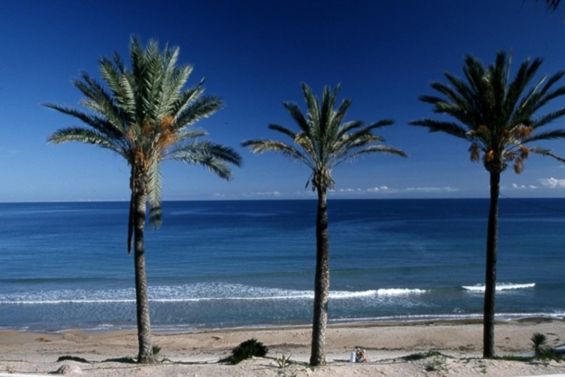 Short Term Rental - Bungalow -
Pilar de la Horadada - Parque Ramon eugenio Escudero