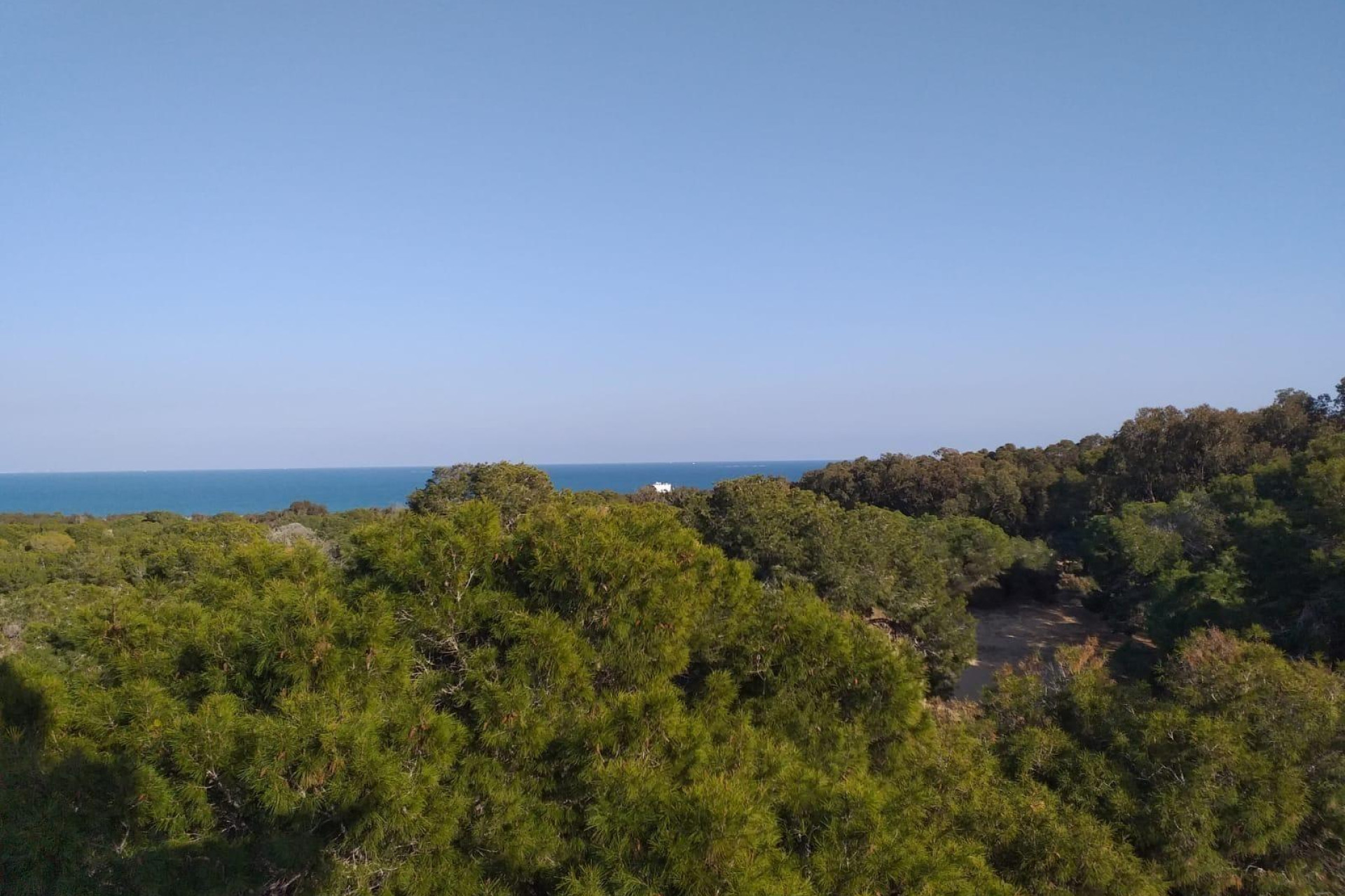 Short Term Rental - Ground floor apartment -
Guardamar del Segura - Pueblo