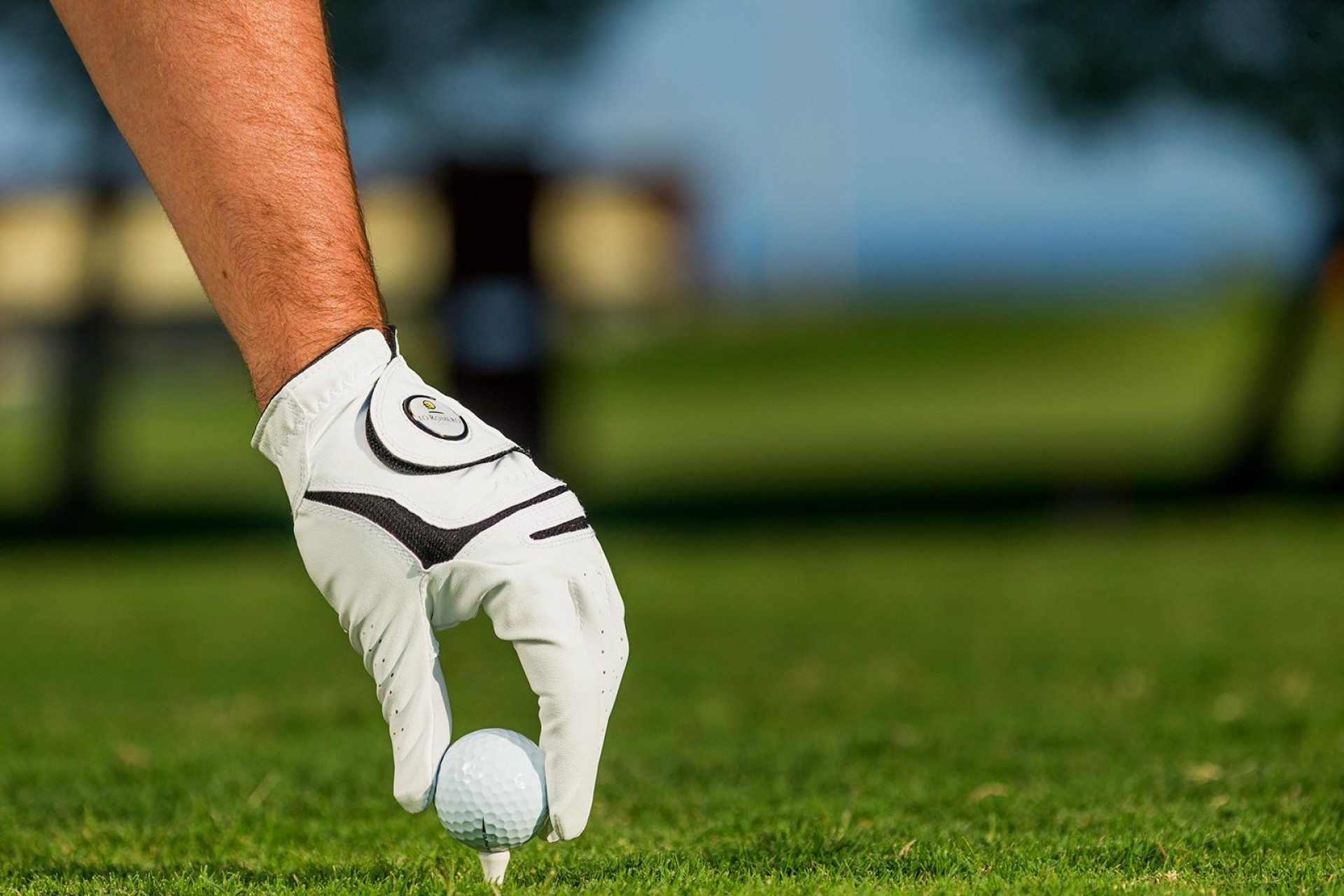 Short Term Rental - Villa -
Pilar de la Horadada - Lo Romero Golf