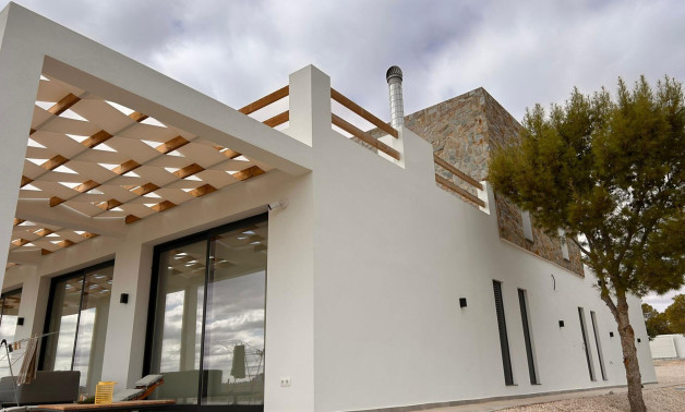 Villa - Obra nueva - Pinoso -
                Casas Pastor