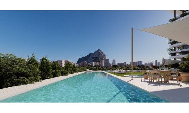 Obra nueva - Áticos -
Calpe