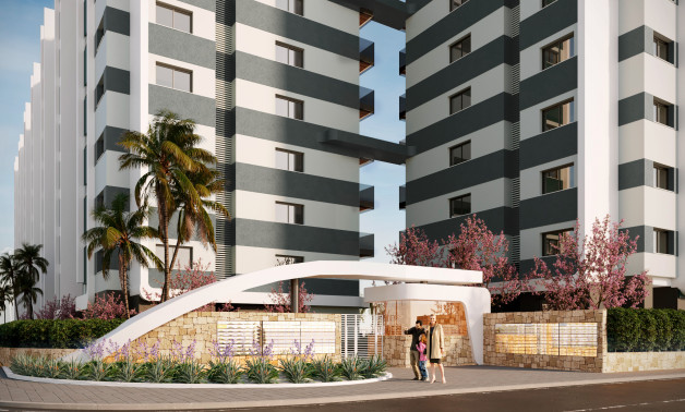Obra nueva - Áticos -
Torrevieja - 03189