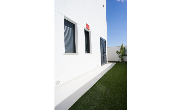 Obra nueva - Villas -
San Miguel de Salinas - 03189