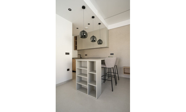 Obra nueva - Villas -
San Miguel de Salinas - 03189