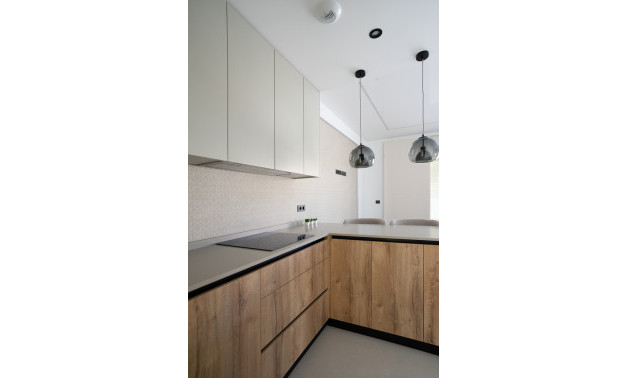 Obra nueva - Villas -
San Miguel de Salinas - 03189