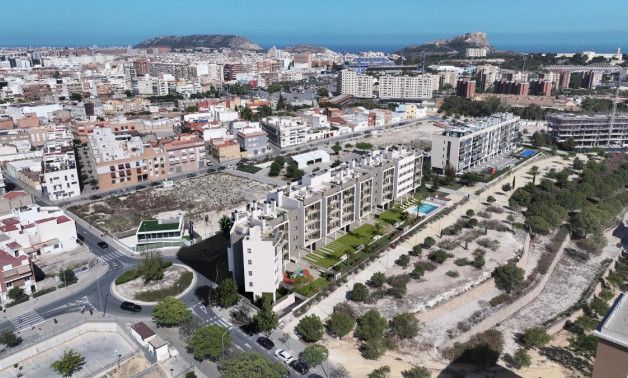 Obra nueva - Apartamentos -
Alicante / Alacant - 03005, Calle Deportista Pitu Perramon, 6
