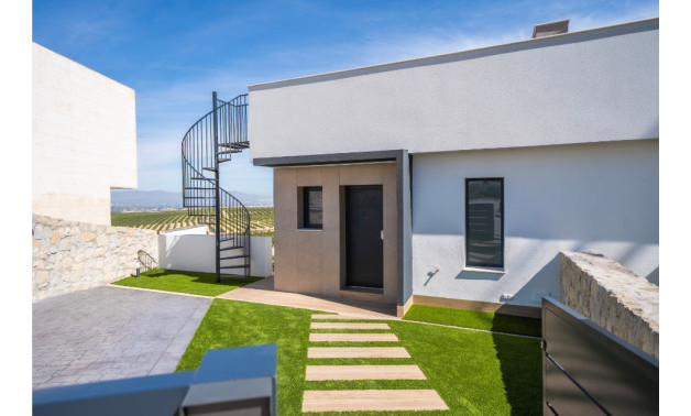 Obra nueva - Adosados -
Algorfa
