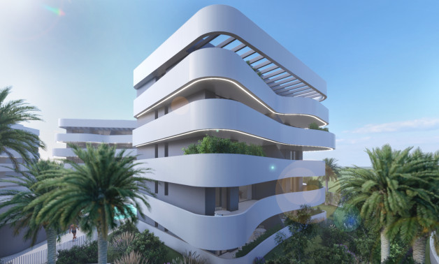 Obra nueva - Apartamentos -
Guardamar del Segura