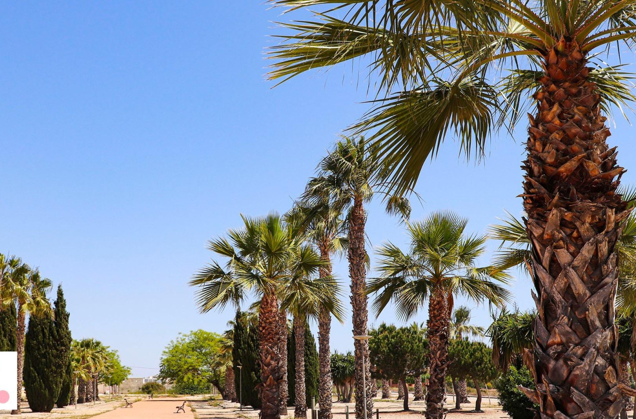 Alquiler a corto plazo - Villa -
San Fulgencio - La Escuera