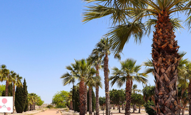 Alquiler a corto plazo - Villa -
San Fulgencio - La Escuera