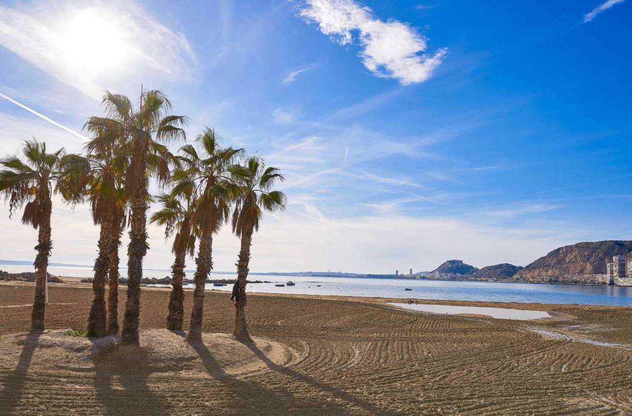 Short Term Rental - Villa -
Els Poblets - Partida Barranquets