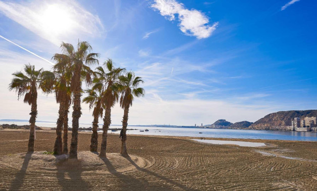 Short Term Rental - Villa -
Els Poblets - Partida Barranquets