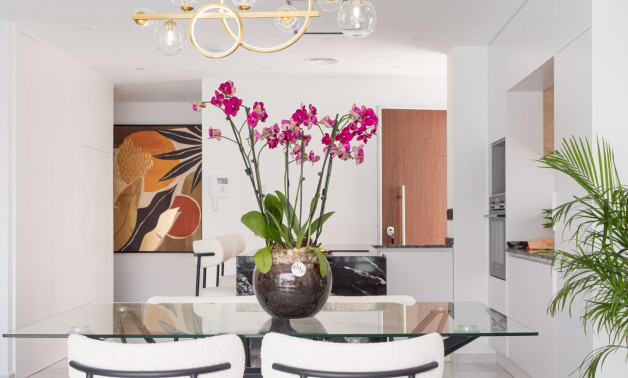 Short Term Rental - Villa -
San Pedro del Pinatar - San Pedro Del Pinatar