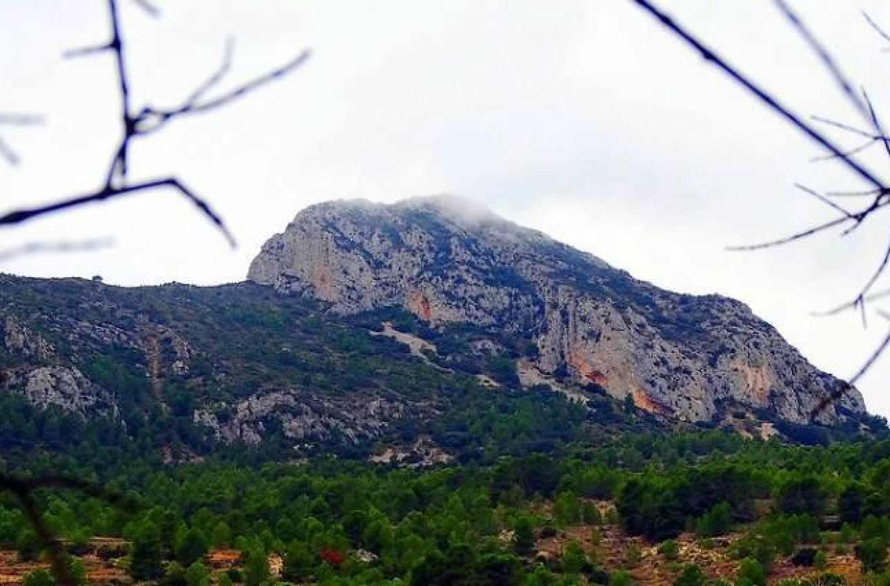 Краткосрочная аренда - Villa -
La Romana - Batistes