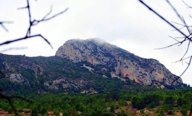 Краткосрочная аренда - Villa -
La Romana - Batistes