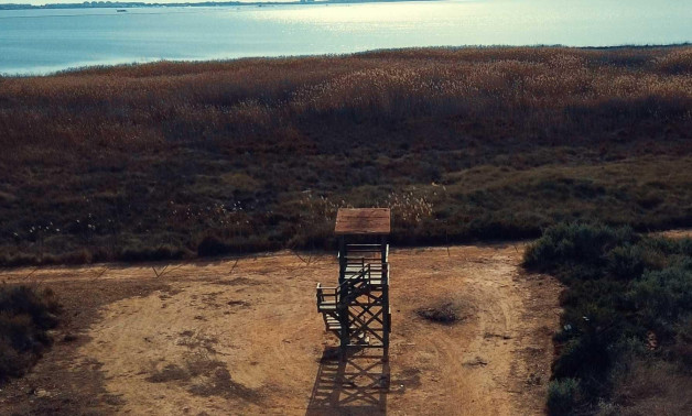 Краткосрочная аренда - Villa -
Los Montesinos - La Herrada