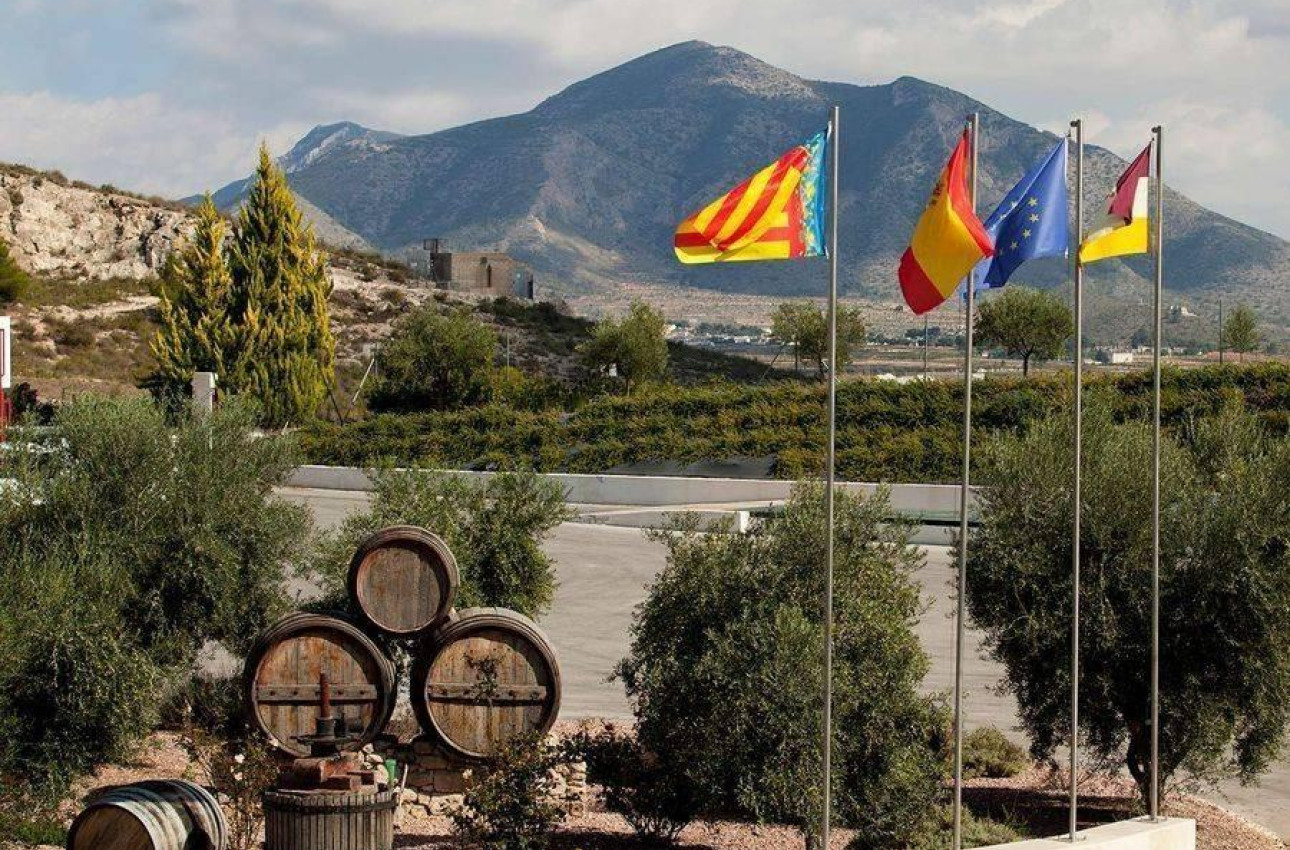 Краткосрочная аренда - Villa -
Pinoso - Lel