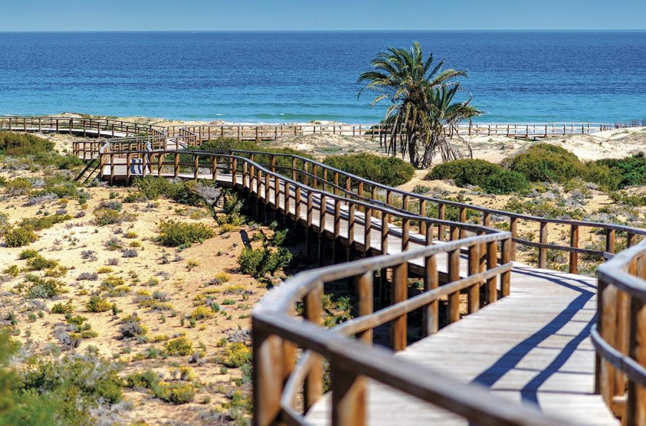 Краткосрочная аренда - Apartment -
Monforte del Cid - Alenda Golf