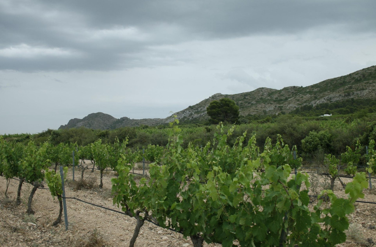 Alquiler a corto plazo - Villa -
Yecla